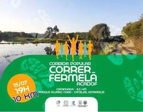 Corrida Popular Correr Fermelã ACADOF 2023