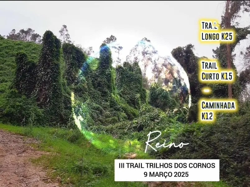 Trail Trilhos dos Cornos 2025