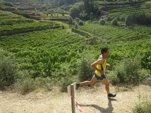 Corrida das Vindimas de Castelo de Paiva 2026