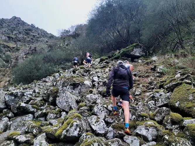 Meia Maratona Zemou 2024
