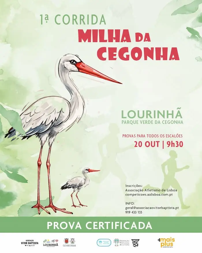 Milha da Cegonha 2024