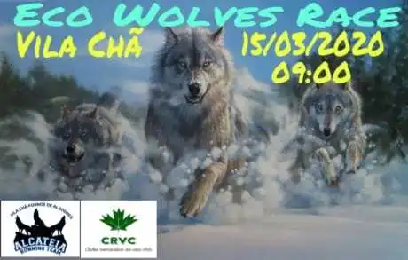 Eco Wolves Race 2020