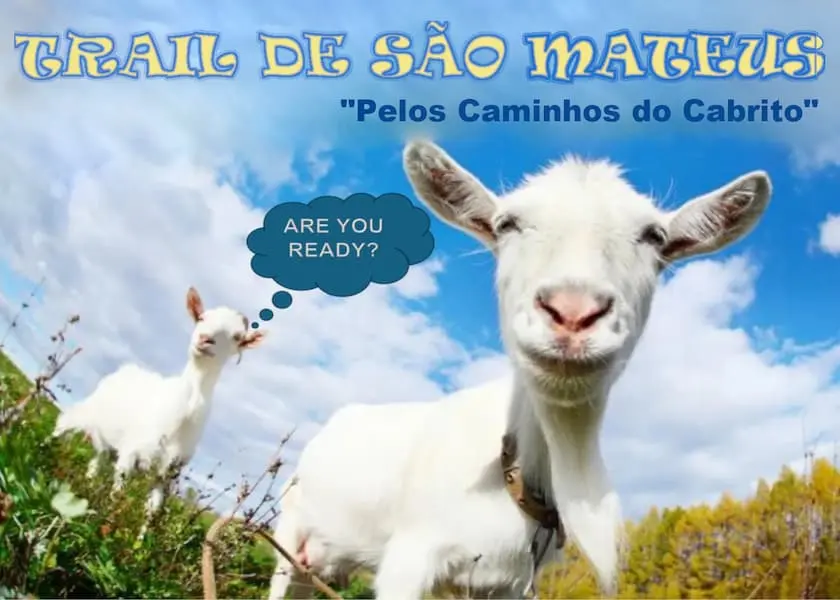 Trail de São Mateus 2024